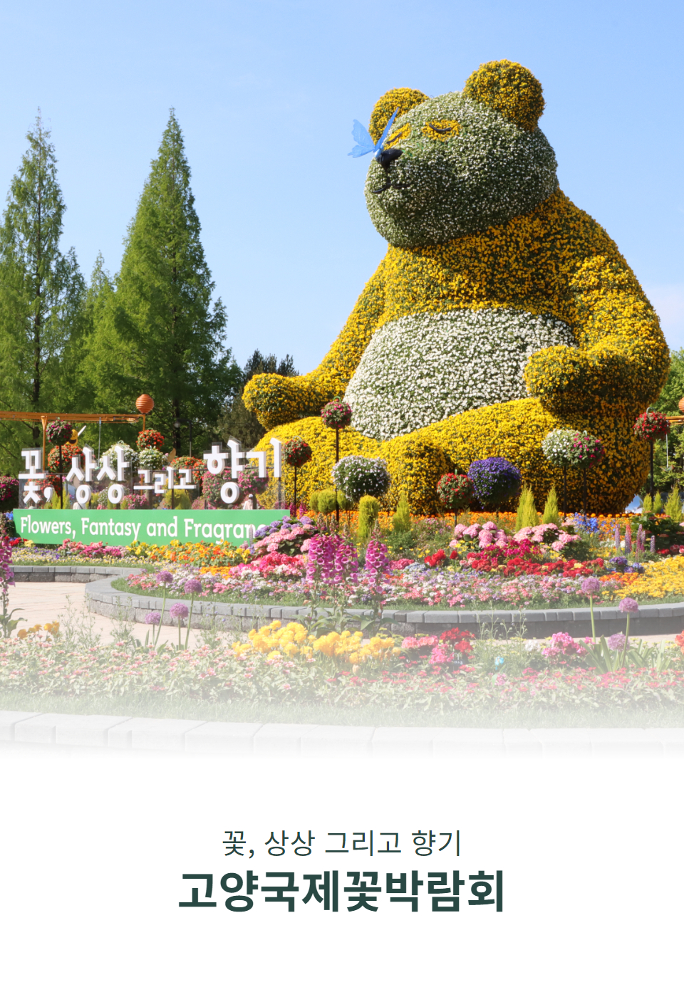 2025꽃박배너 이미지